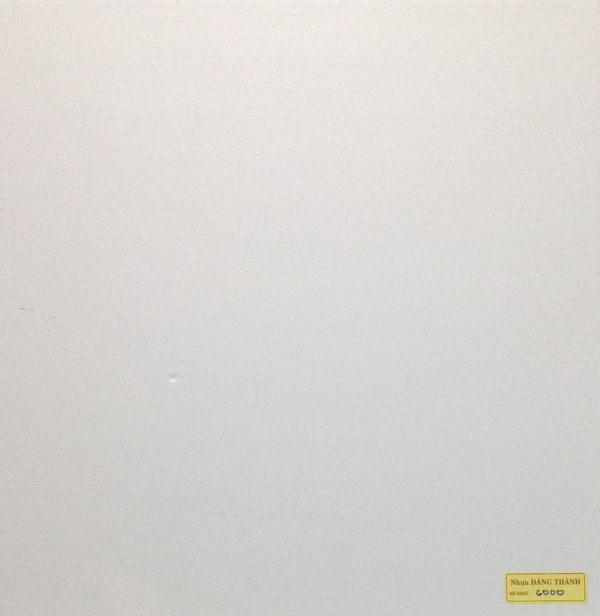 tam-tran-nhua-60x120-600x1200